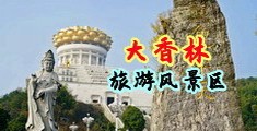 鸡巴日逼黄色视频中国浙江-绍兴大香林旅游风景区